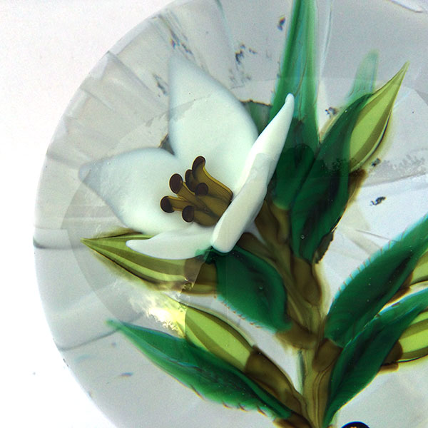 White Flower on Clear Paperweight